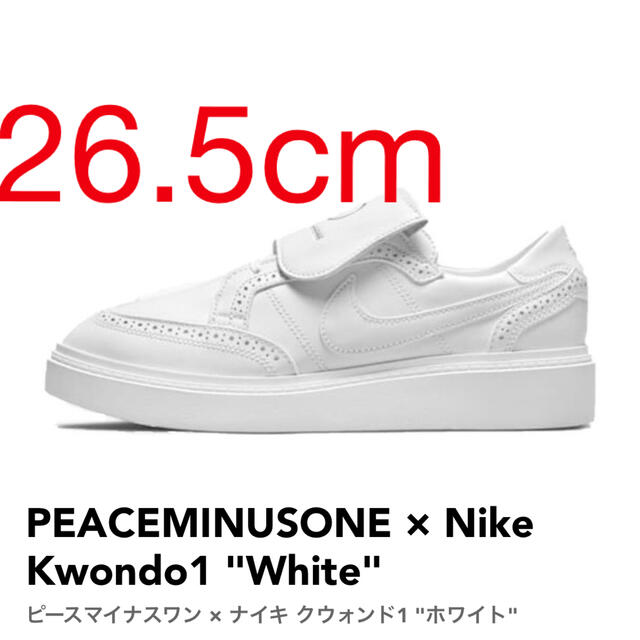 PEACEMINUSONE(ピースマイナスワン)のNIKE KWONDO1/PEACEMINUSONE ナイキ クウォンド1  メンズの靴/シューズ(スニーカー)の商品写真