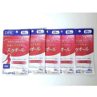 ディーエイチシー(DHC)のDHC エクオール  20日分×5袋(その他)
