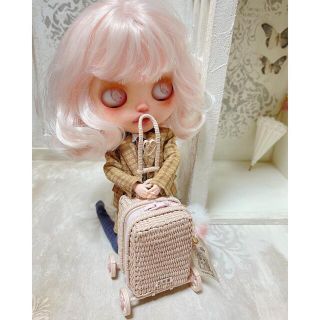 SUzuHirO..DolL＊ ブライス アウトフィット キャリーバック♡の通販 ...