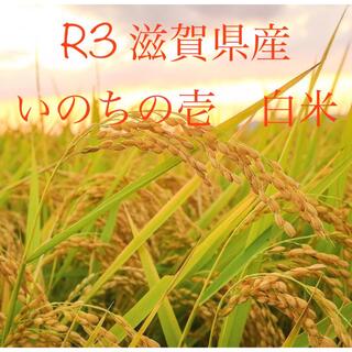 令和3年 ☆新米☆滋賀県産 いのちの壱 白米10キロ(米/穀物)