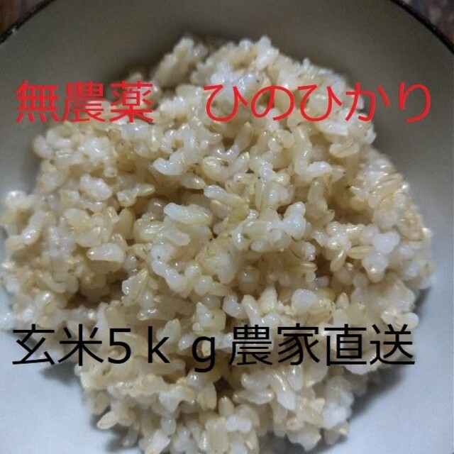 無農薬ひのひかり玄米5kg 食品/飲料/酒の食品(米/穀物)の商品写真