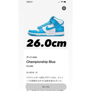 ナイキ(NIKE)のNike Dunk High Championship Blue 26.0(スニーカー)