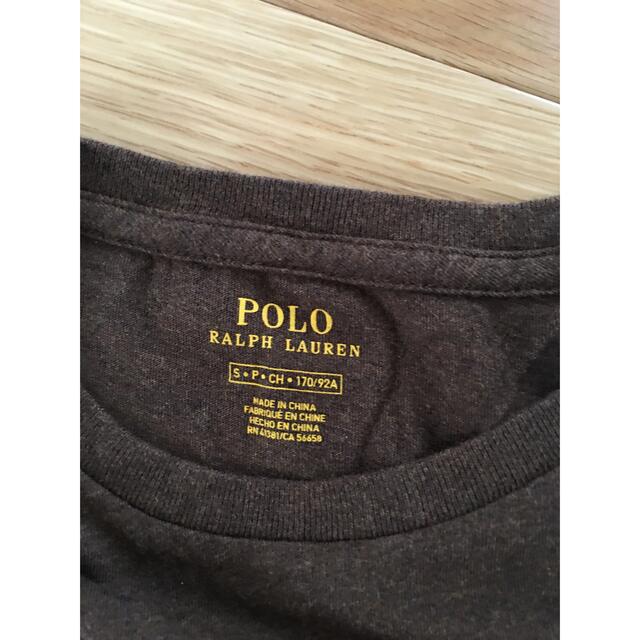 POLO RALPH LAUREN(ポロラルフローレン)のポロ　ラルフローレン　半袖　Tシャツ　ブラウン　新品　匿名 メンズのトップス(Tシャツ/カットソー(半袖/袖なし))の商品写真