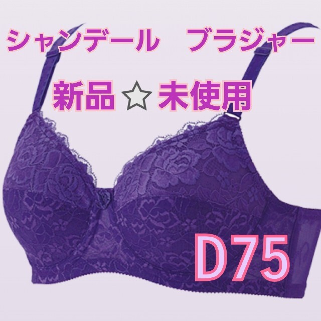 シャンデール ブラジャー D75 レディースの下着/アンダーウェア(ブラ)の商品写真