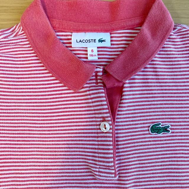 LACOSTE(ラコステ)のラコステ　キッズ　ポロシャツ キッズ/ベビー/マタニティのキッズ服女の子用(90cm~)(Tシャツ/カットソー)の商品写真