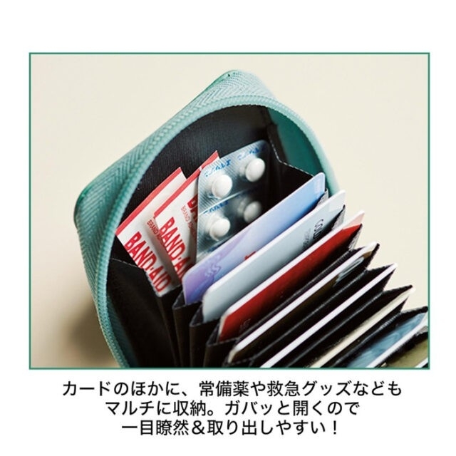 宝島社(タカラジマシャ)のSPRiNG スプリング 2022年4月付録 猫のうにくん 縦型カードケース エンタメ/ホビーの雑誌(ファッション)の商品写真