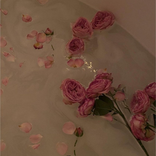 sea様専用 - burnet.com.ar