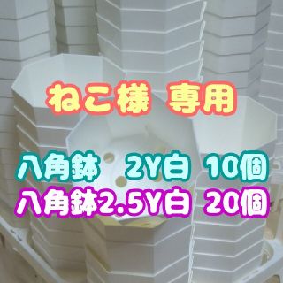 カネヤ【2Y10個･2.5Y20個】八角鉢白 プラ鉢スリット鉢プレステラ多肉植物(プランター)