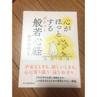 心がほっとするポケット般若心経 桝野俊明 猫の表紙(人文/社会)