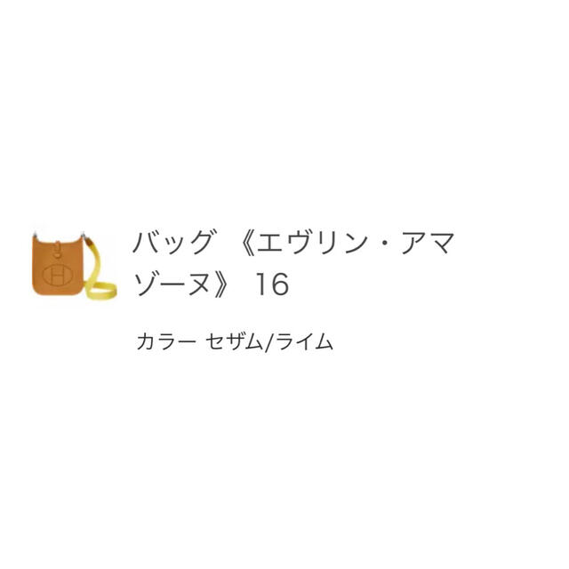 クーポン中お値下げ！エルメスエヴリンtpm 新品未使用