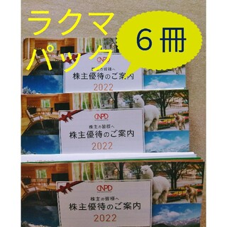 ★最新　日本駐車場開発 株主優待 6冊(その他)