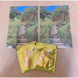 沖縄　山の茶屋ポストカード　さんぴん茶ティーパックのおまけつき(茶)
