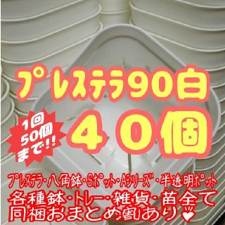 【スリット鉢】プレステラ90白40個 多肉植物 プラ鉢(プランター)