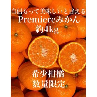 愛媛県産 甘くて美味しいプレミアムみかん  約4kg入 柑橘 果物 ミカン(フルーツ)