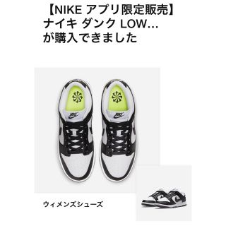 ナイキ(NIKE)のNike Wmns Dunk Low Next Nature パンダダンク(スニーカー)