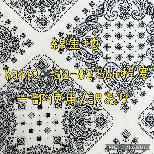 生地 綿 コットン はぎれ ハギレ ペイズリー アジア かっこいい おしゃれ 布 ハンドメイドの素材/材料(生地/糸)の商品写真