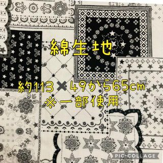 生地 綿 コットン はぎれ ハギレ ペイズリー アジア かっこいい おしゃれ 布(生地/糸)