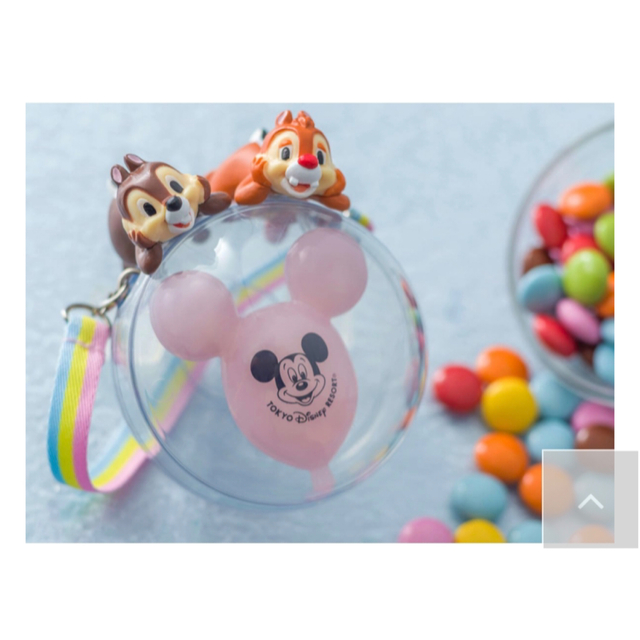 限定値下げ!東京ディズニーランド ディズニーシー スナックケース