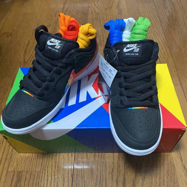 Polaroid × Nike SB Dunk Low Pro  QS