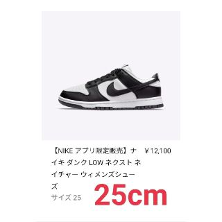 ナイキ(NIKE)の25cm Dunk Next Nature ダンク ネクスト ネイチャー(スニーカー)