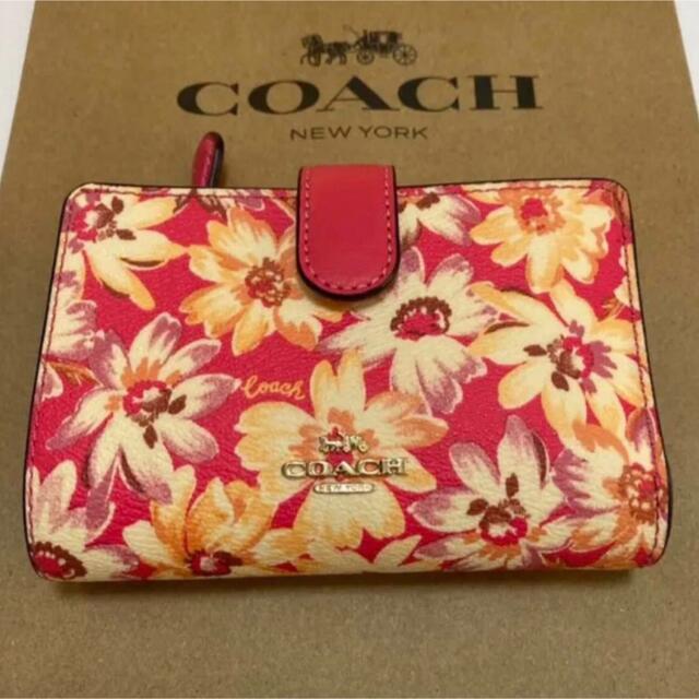 バッグ専用　COACH コーチ 折り財布　新品　デイジー　花柄