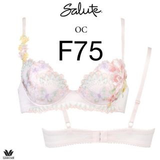 ワコール(Wacoal)の新品未使用タグ付き F75 サルート42G p-up salute(ブラ)