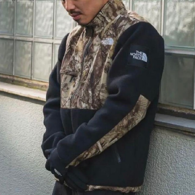 THE NORTH FACE(ザノースフェイス)のTHE NORTH FACE Novelty THEDenali Jacket メンズのジャケット/アウター(その他)の商品写真