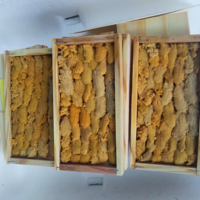みーこさま 専用、鮮魚BOX | restaurantelburladero.com