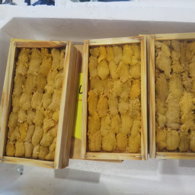 みーこさま 専用、鮮魚BOX | restaurantelburladero.com