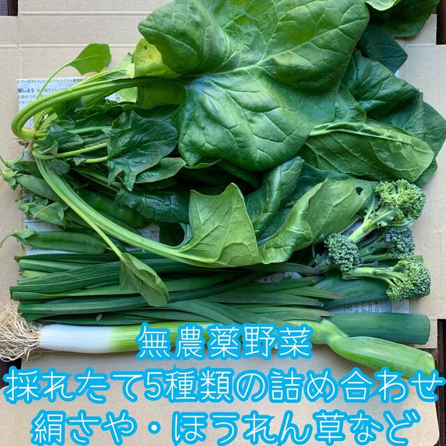 無農薬野菜＊採れたて5種類の詰め合わせ＊野菜セット＊ネコポス＊絹さや・ほうれん草 食品/飲料/酒の食品(野菜)の商品写真