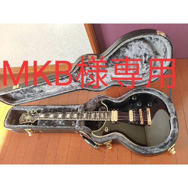 Epiphone TAK Matsumoto DC custom