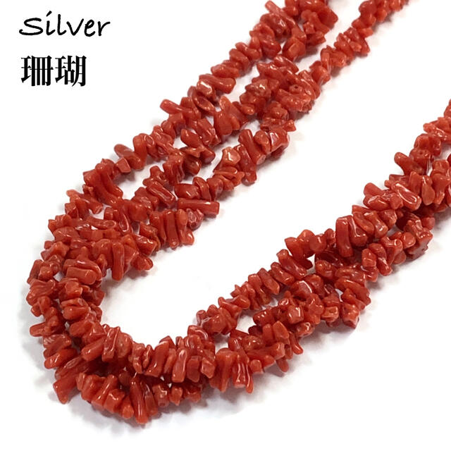 ご注意ください 珊瑚 ネックレス SILVER - 通販 - trd-chp.com