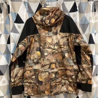 ノースフェイス supreme コラボマウンテンジャケット 枯葉 落ち葉