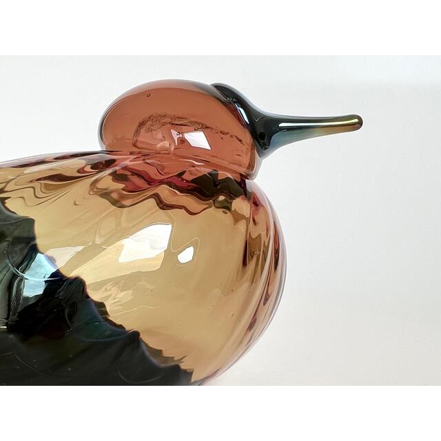 iittala(イッタラ)のPacific Waterfowl 2005年 箱付き バード イッタラ インテリア/住まい/日用品のインテリア小物(置物)の商品写真