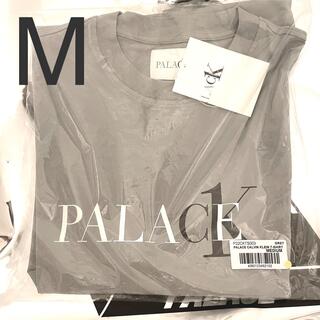 カルバンクライン(Calvin Klein)のCK1 PALACE T-SHIRT QUARRY(Tシャツ/カットソー(半袖/袖なし))
