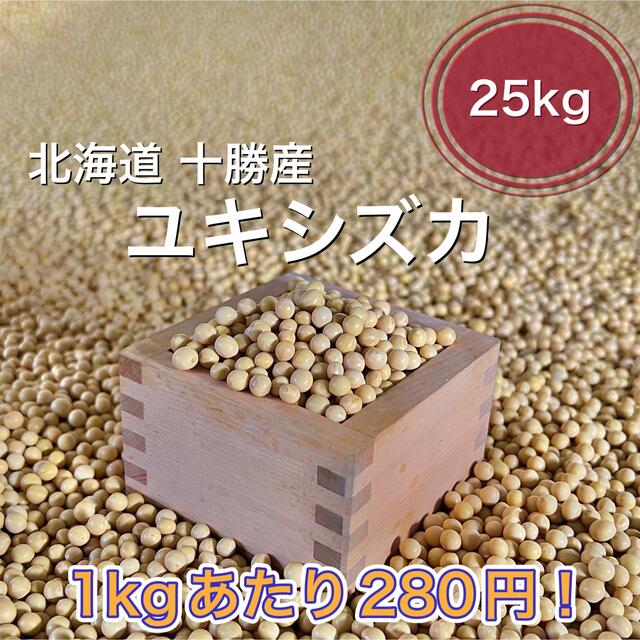 北海道産 大豆25kg食品/飲料/酒