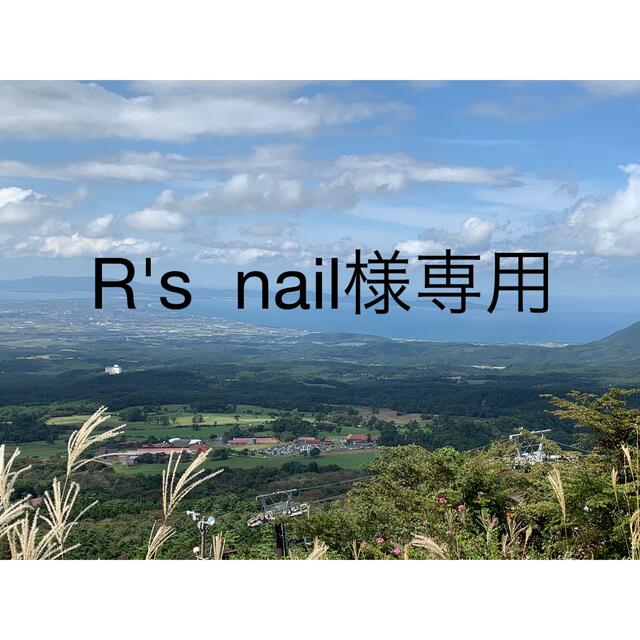【 大感謝セール】 R's  nail様専用ページ デコパーツ