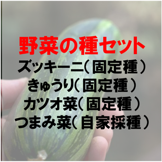 固定種メイン 野菜の種セット ズッキーニ他(その他)