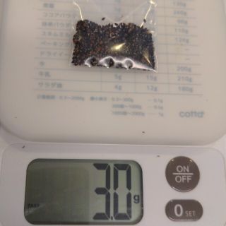 蓼藍の種 約3ｇ(その他)