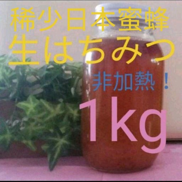 希少日本みつばち  生はちみつ  天然100%  非加熱！匿名配送！約1kg！