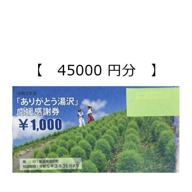 45000円分】湯沢応援感謝券 | www.jarussi.com.br