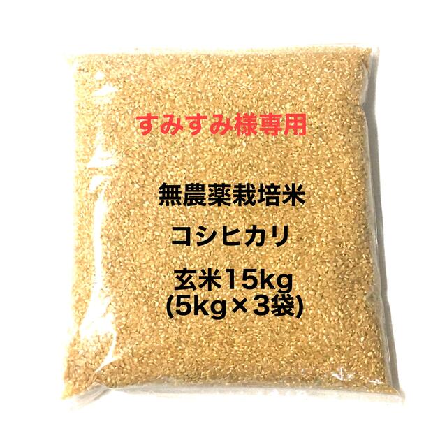 自然栽培 玄米 23kg 2023年産 コシヒカリ - 米