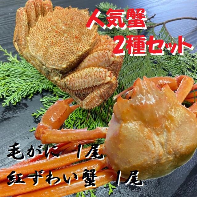 【母の日】紅ズワイ蟹約500ｇ1尾・毛ガニ250ｇ1尾　2種食べ比べセット