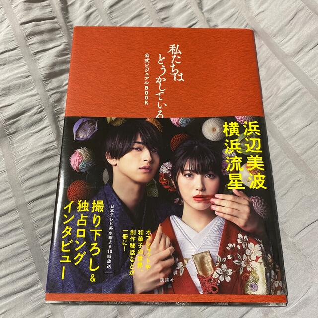 講談社(コウダンシャ)の私たちはどうかしている公式ビジュアルＢＯＯＫ エンタメ/ホビーの本(アート/エンタメ)の商品写真