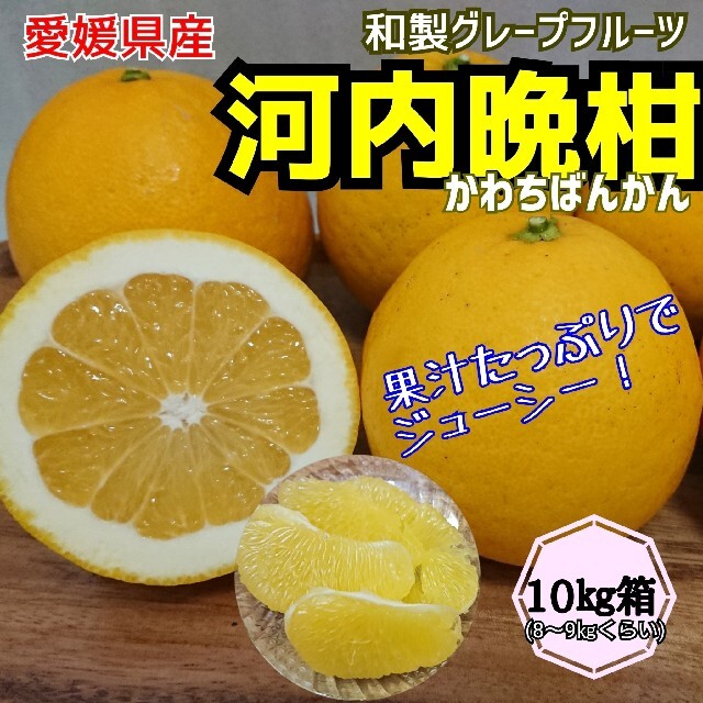 男女兼用 愛媛産【農家直送】☆河内晩柑(宇和ゴールド)☆10キロ箱 - 通販 - inranga.lt