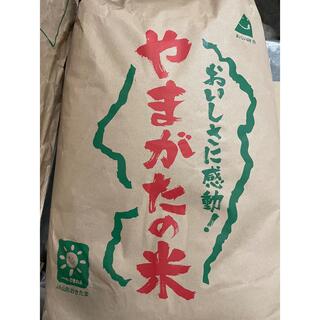 りきちゃん様専用　令和2年産　コシヒカリ　白米　24キロ 8本(米/穀物)