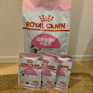 ロイヤルカナン(ROYAL CANIN)のロイヤルカナン　キトン　2キロ(ペットフード)