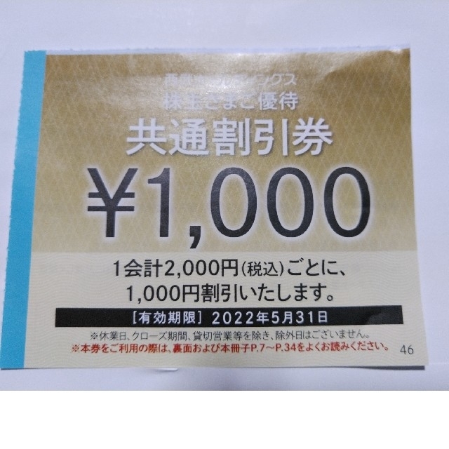 西武株主優待券・共通割引券１０枚セット-