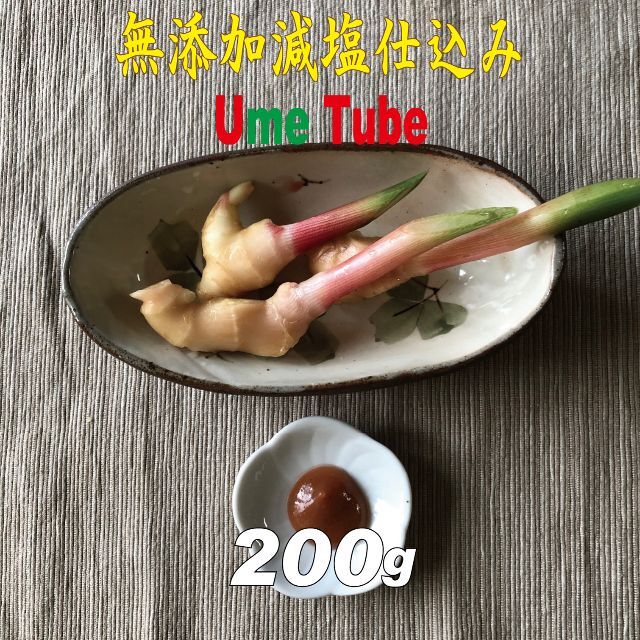 無添加減塩仕込み練り梅200ｇ（100ｇ2点） Ume Tube うめちゅーぶ 食品/飲料/酒の加工食品(漬物)の商品写真