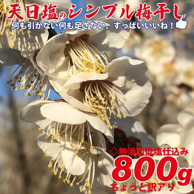 天日塩のシンプル梅干 無添加白加賀梅干800ｇ3Ｌ（17ｇ以上）ちょっと訳アリ 食品/飲料/酒の加工食品(漬物)の商品写真